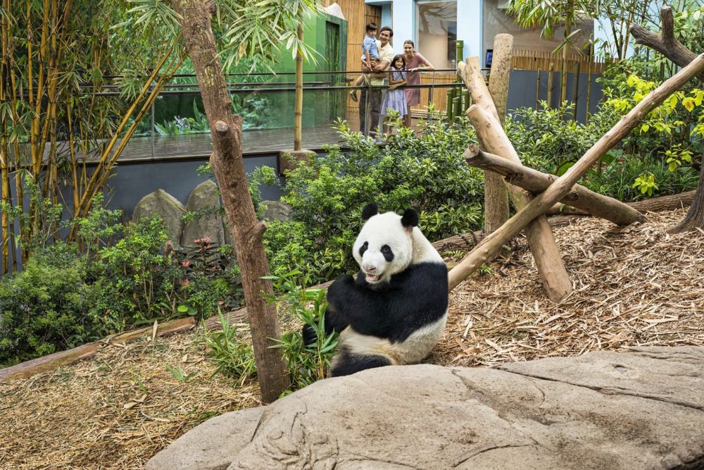 River Wonders Singapore - Image 7 of 11