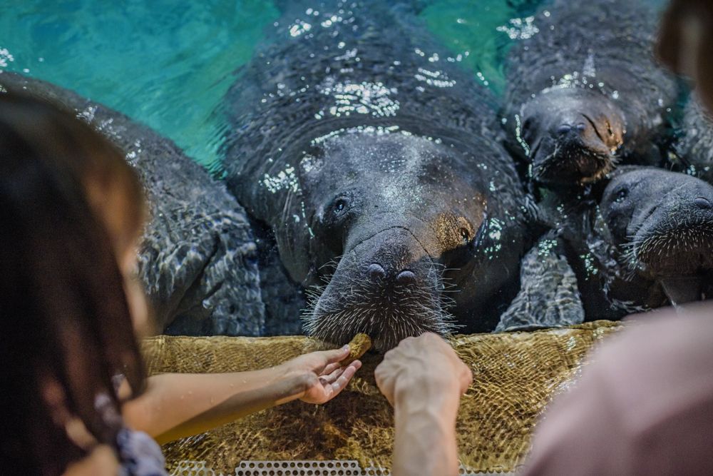 River Wonders Singapore - Image 8 of 11
