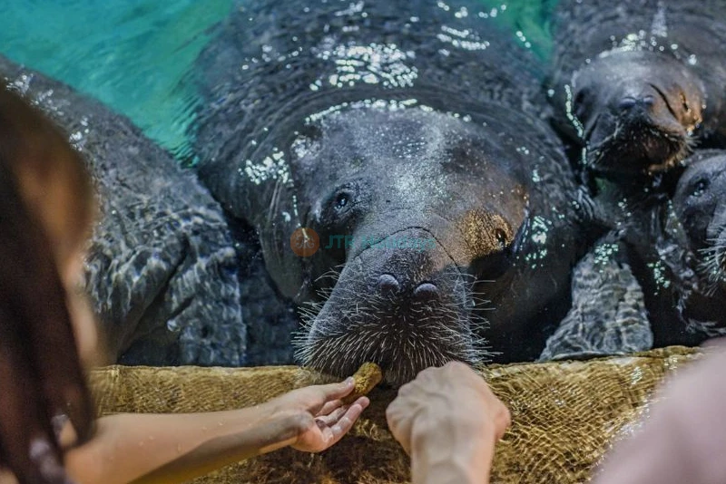 Les Merveilles des Rivières de Singapour - Image 8 of 11