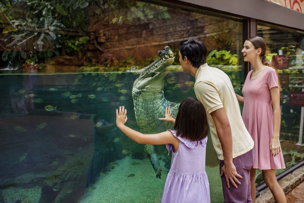 River Wonders Singapore - Image 9 of 11