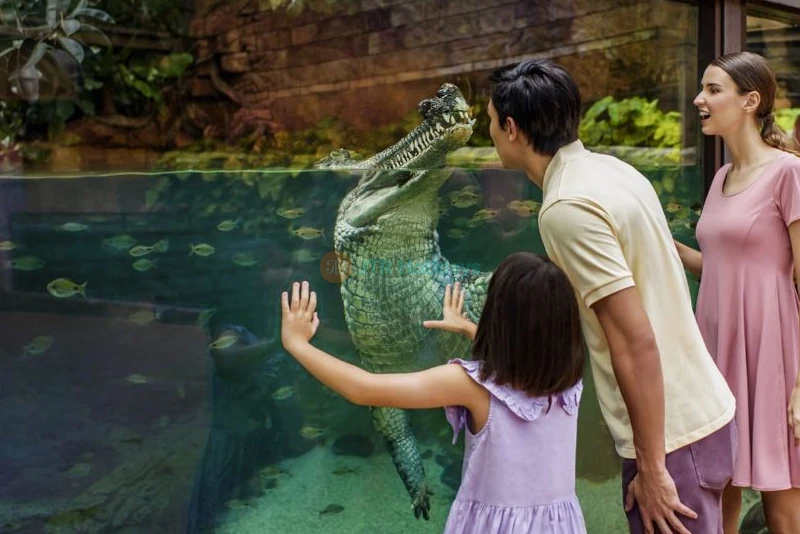 River Wonders Singapore - Image 9 of 11