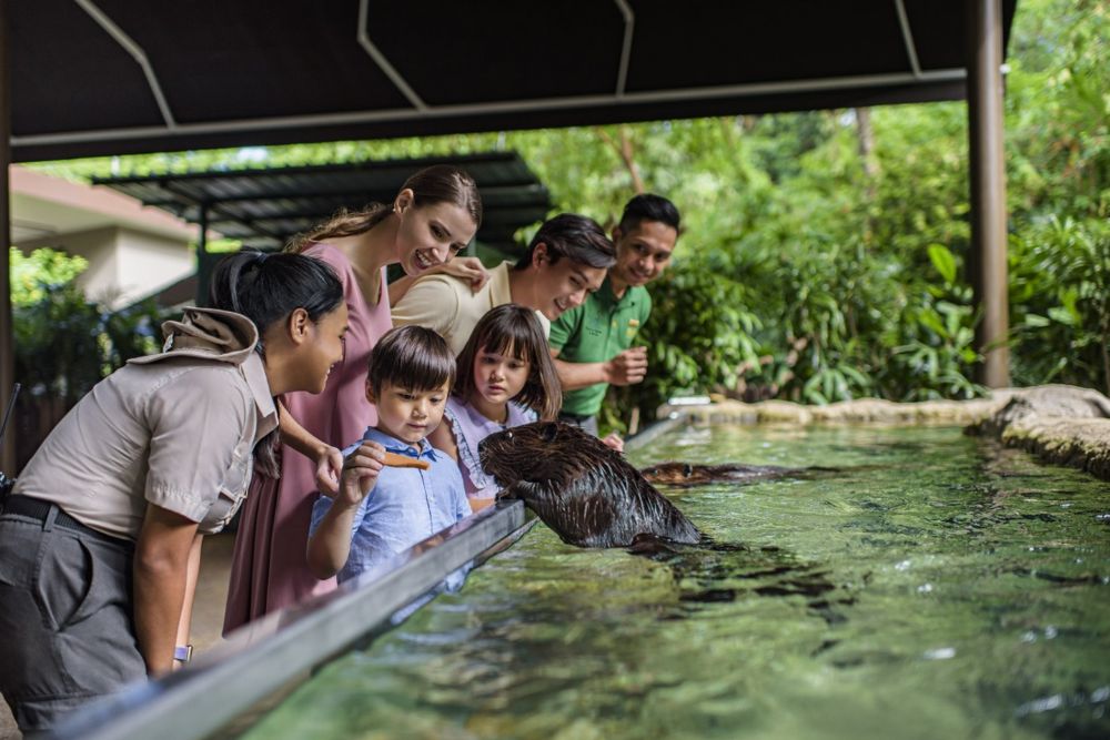 River Wonders Singapore - Image 10 of 11