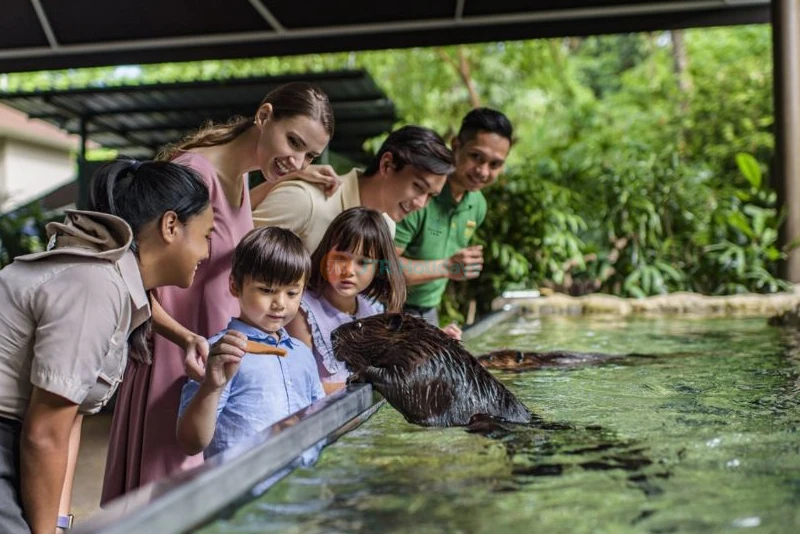 River Wonders Singapore - Image 10 of 11