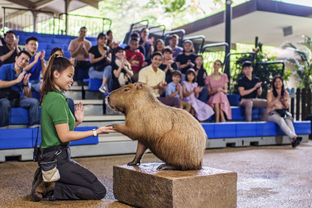 River Wonders Singapore - Image 11 of 11