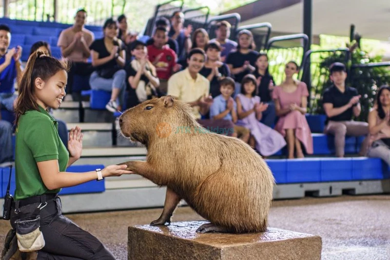 Les Merveilles des Rivières de Singapour - Image 11 of 11