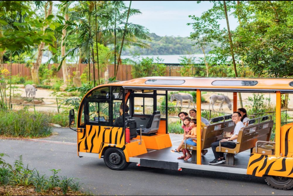 Singapur Zoo - Erleben Sie die Wunder des Singapur Zoos, Heimat von über 2.800 Tieren in üppigen, naturnahen Lebensräumen. Genießen Sie interaktive Ausstellungen, Wildtiershows und hautnahe Begegnungen mit vielfältigen Arten. Perfekt für Familien und Tierliebhaber – planen Sie noch heute Ihren Besuch für ein unvergessliches Abenteuer! Singapur Zoo - Bild 1 von 5