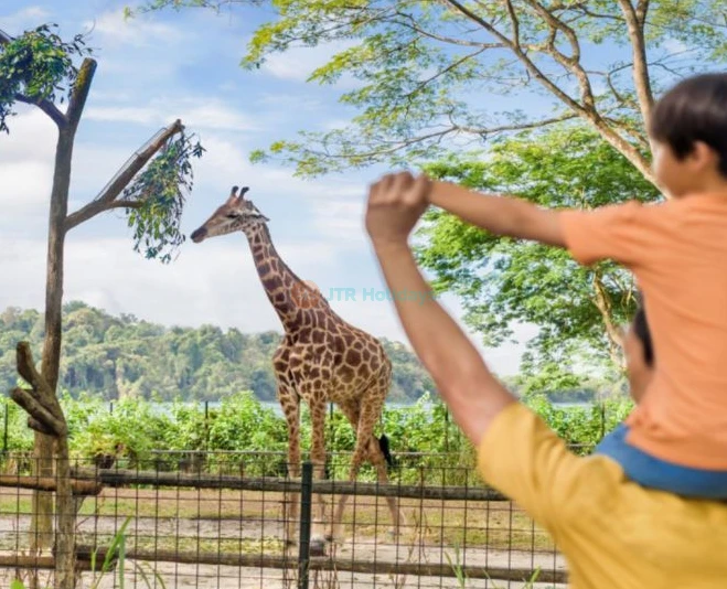シンガポール動物園 - 画像 2 の 5