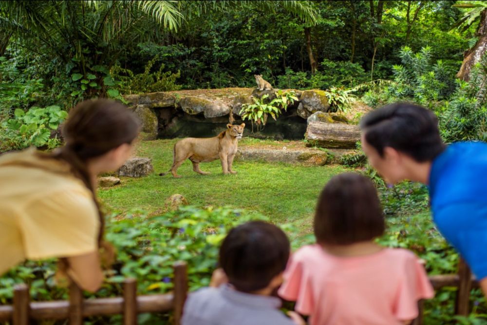 Singapore Zoo - Experience the wonders of Singapore Zoo, home to over 2,800 animals in lush, naturalistic habitats. Enjoy interactive exhibits, wildlife shows, and close encounters with diverse species. Perfect for families and animal lovers, plan your visit today for an unforgettable adventure! Singapore Zoo - Image 3 of 5