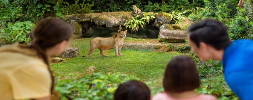 シンガポール動物園 - Image 3 of 9