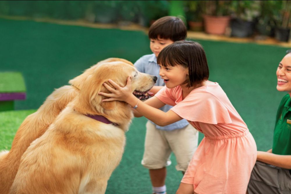 Singapore Zoo - Image 4 of 9