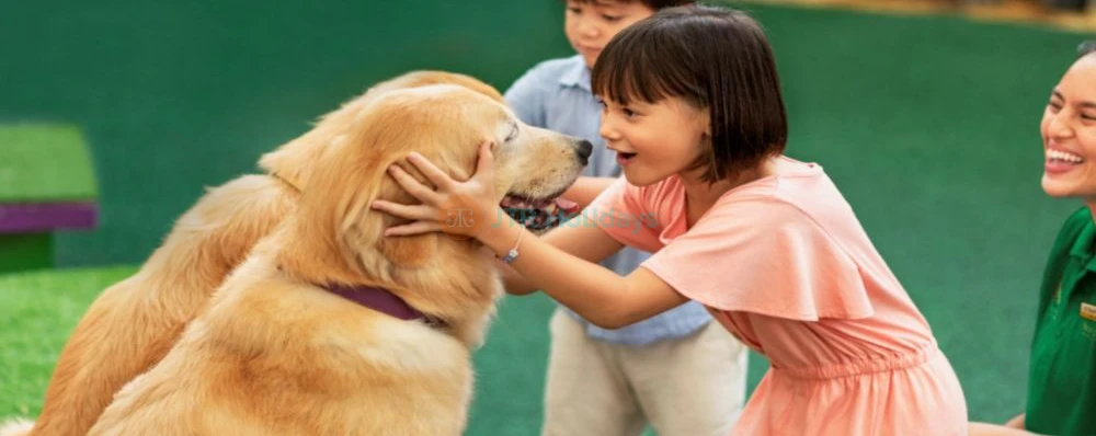 シンガポール動物園 - 画像 4 の 5