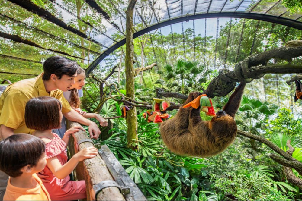 Singapore Zoo - Image 6 of 9