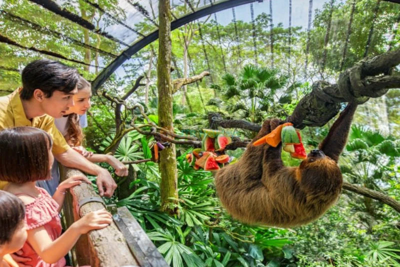 Singapore Zoo - Image 6 of 9