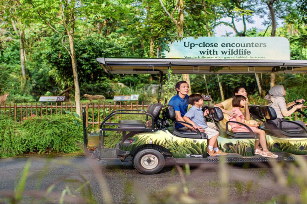 Singapore Zoo - Image 7 of 9