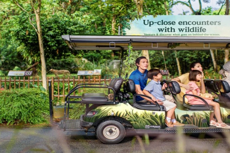 Singapore Zoo - Image 7 of 9