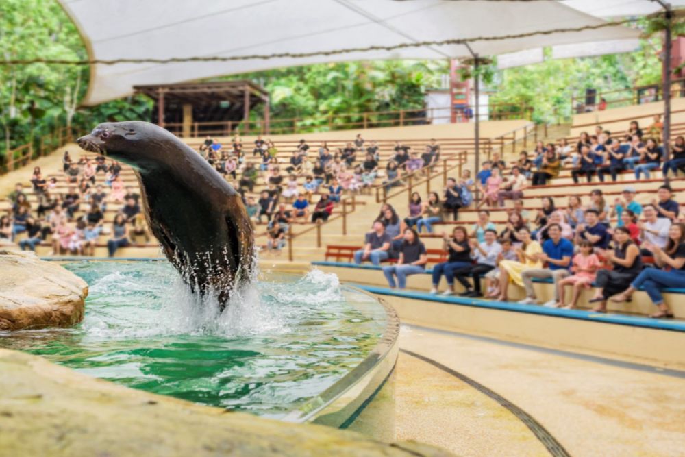 Singapore Zoo - Image 8 of 9