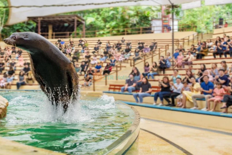 Singapore Zoo - Image 8 of 9