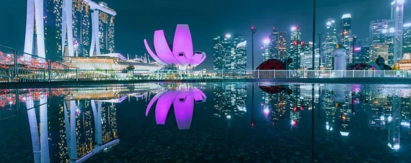 新加坡艺术科学博物馆 - 图片 3 的 5
