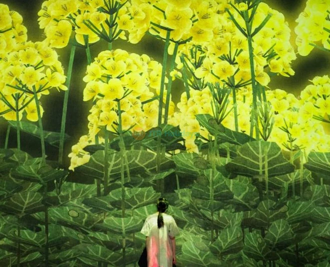 ArtScience Museum Singapore - Image 5 of 5