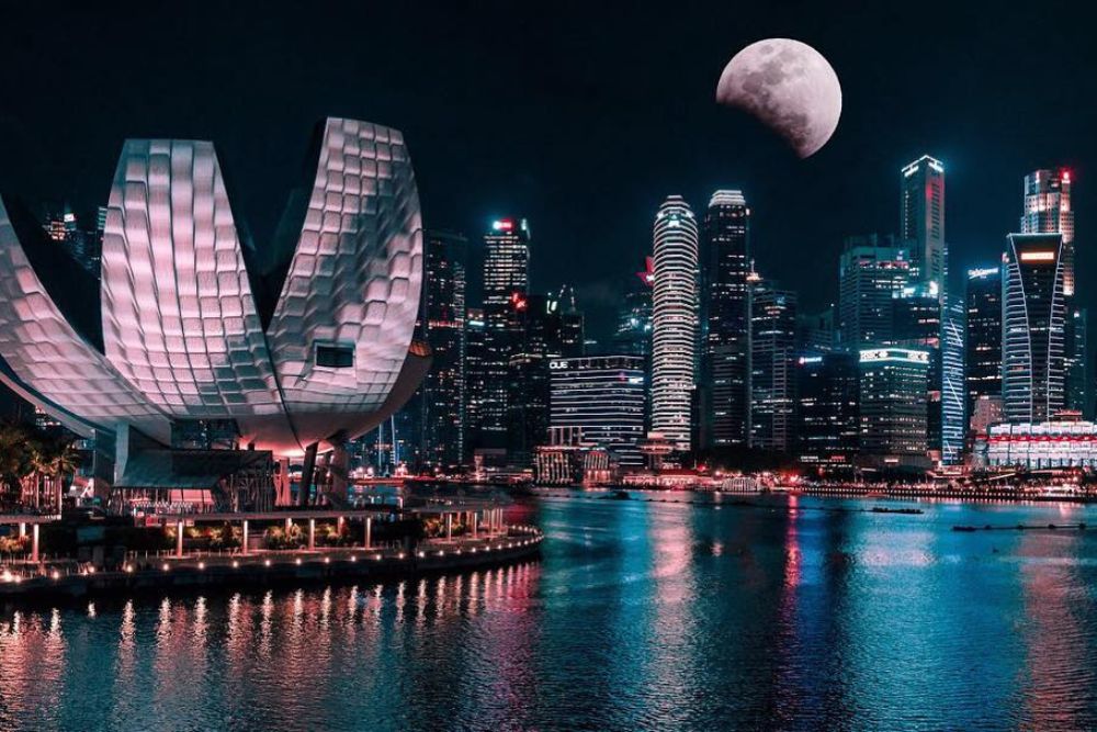 ArtScience Museum Singapore - Image 6 of 7