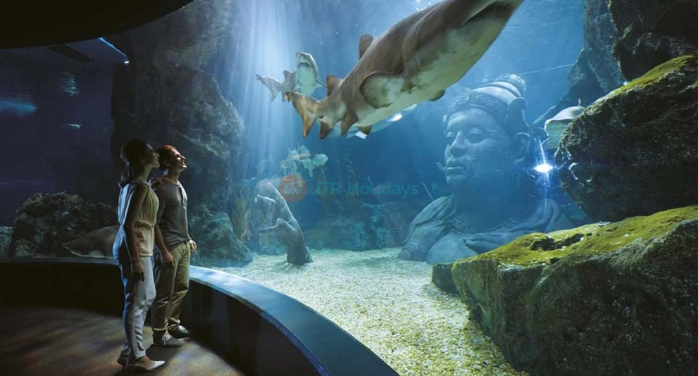 SEA LIFE Bangkok Ocean World - Sea Life Bangkok Ocean World is a world class aquarium in Southeast Asia covering approximately 10,000 square metres. Explore the Rocky Hideout where the giant spider crab and giant Pacific octopus can be found. Also explore Shark Walk with five species of shark that can be seen through clear walls. The Rockpool is a crowd favourite, with sea stars at the Pop Up Tank, Crawl Through Tank, and Secret Cave Tank. SEA LIFE Bangkok Ocean World - Image 1 of 5
