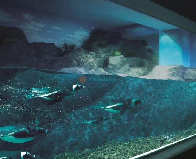 SEA LIFE Bangkok Ocean World - Image 2 of 5