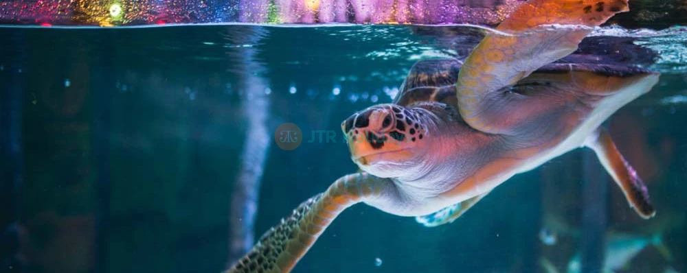 SEA LIFE Bangkok Ocean World - Image 3 of 5