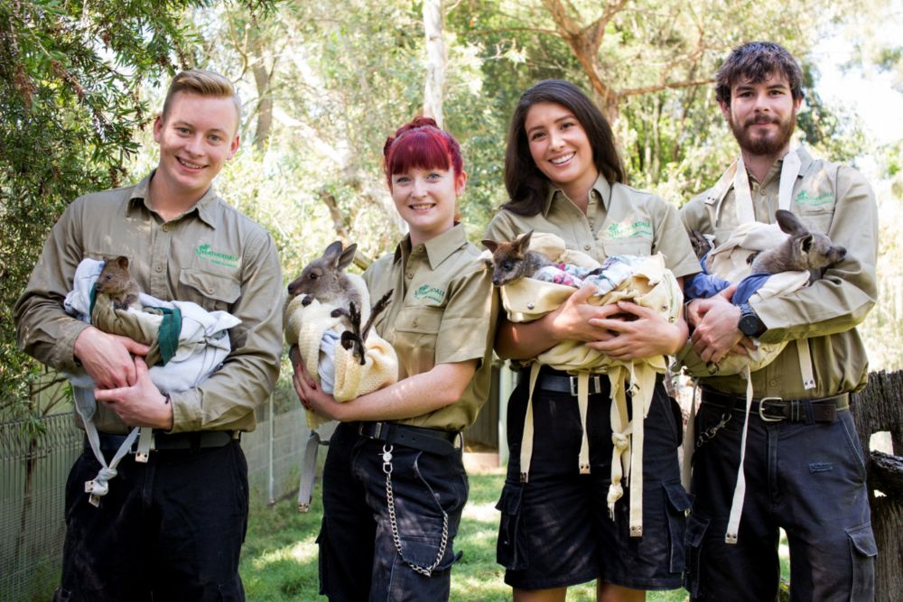 Featherdale Wildlife Park - Image 4 of 10