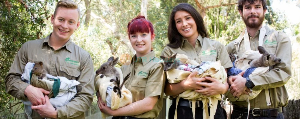 Featherdale Wildlife Park - Image 4 of 5