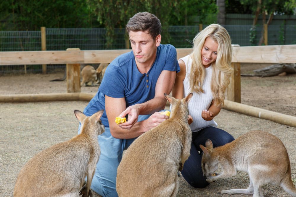 Featherdale Wildlife Park - Image 8 of 10