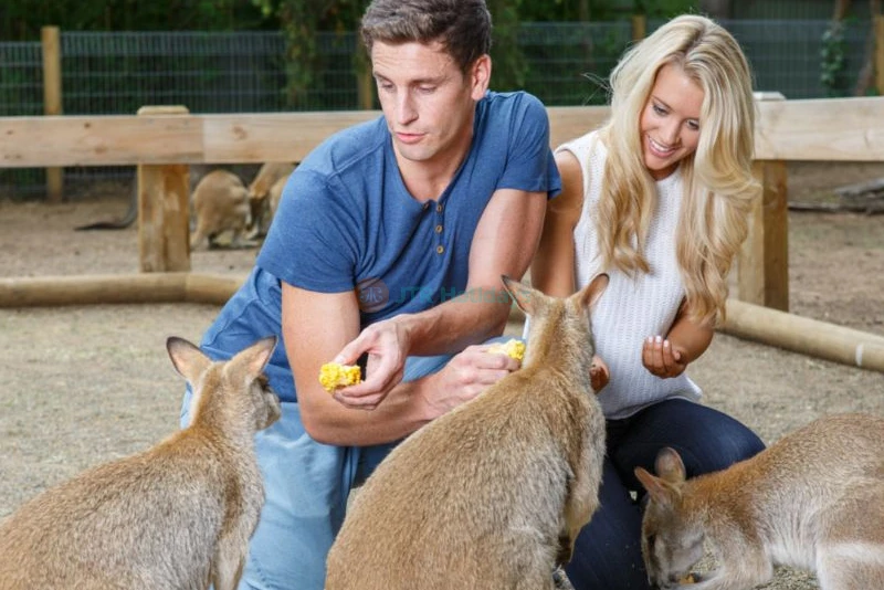 Featherdale Wildlife Park - Image 8 of 10