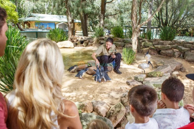 Featherdale Wildlife Park - Image 10 of 10