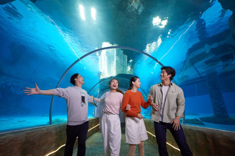 Ocean Park Hongkong - Entdecken Sie den Ocean Park Hongkong, ein Top-Ziel für Familienspaß. Erkunden Sie Meeresleben, aufregende Fahrgeschäfte und malerische Aussichten. Genießen Sie das Aquarium, Tiershows und spannende Achterbahnen für alle Altersgruppen. Planen Sie noch heute Ihr unvergessliches Abenteuer. Ocean Park Hongkong - Bild 3 von 5
