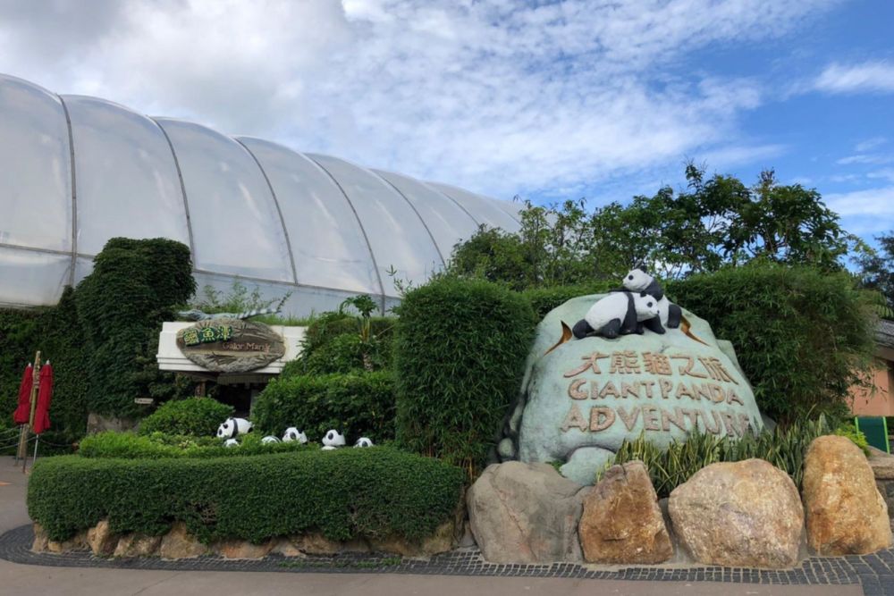 Ocean Park Hong Kong - Image 10 of 12