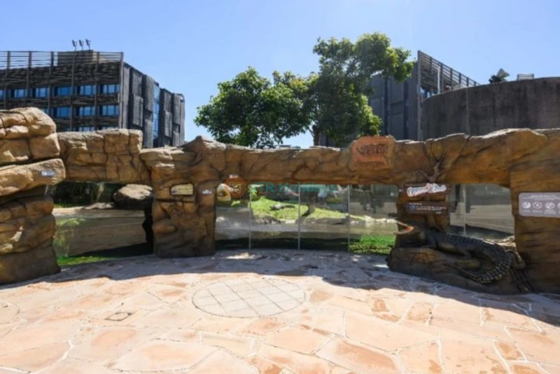 Ocean Park Hong Kong Tickets - Family Fun, Marine Life & Thrill Rides - JTR Holidays - Image 12 of 12