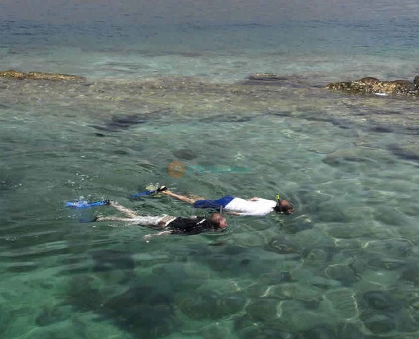 Excursion à Khasab - Croisière en boutre d'une journée complète avec déjeuner - Image 2 sur 5