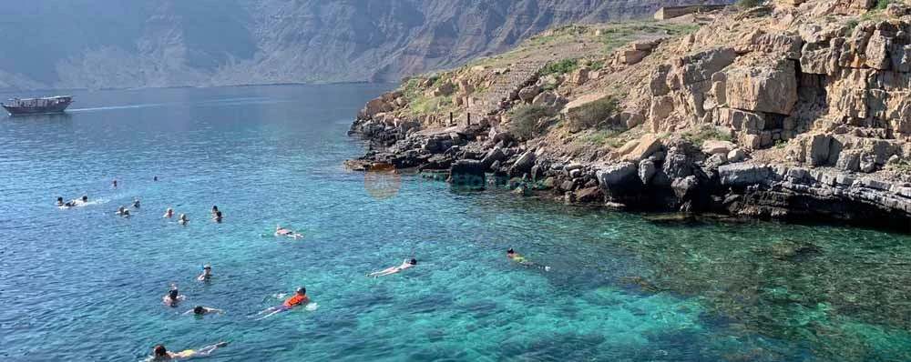 Excursion à Khasab - Croisière en boutre d'une journée complète avec déjeuner - Image 4 of 5