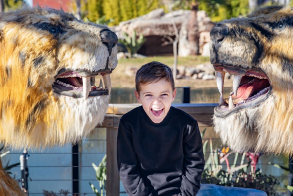 Sydney Zoo - Image 2 of 11