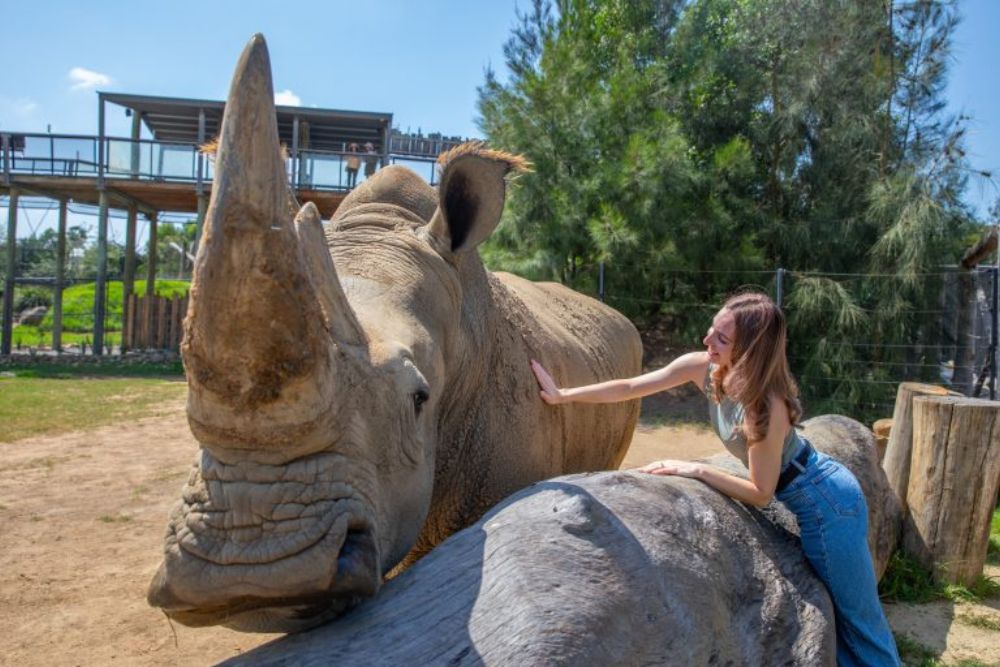 Sydney Zoo - Image 6 of 11