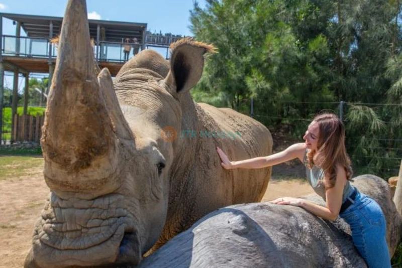 Sydney Zoo Ticket Offer | Family Wildlife Experience in Western Sydney - JTR Holidays - Image 6 of 11