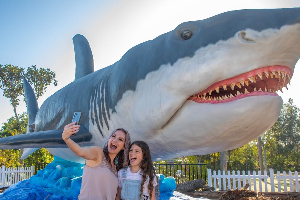 Sydney Zoo - Image 8 of 11