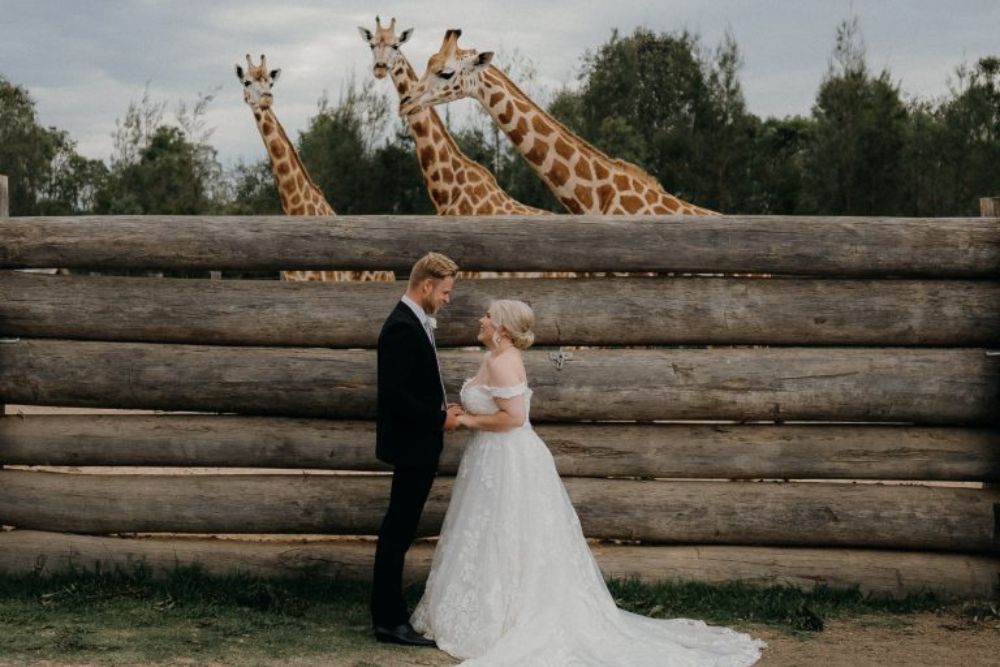 Sydney Zoo - Image 9 of 11