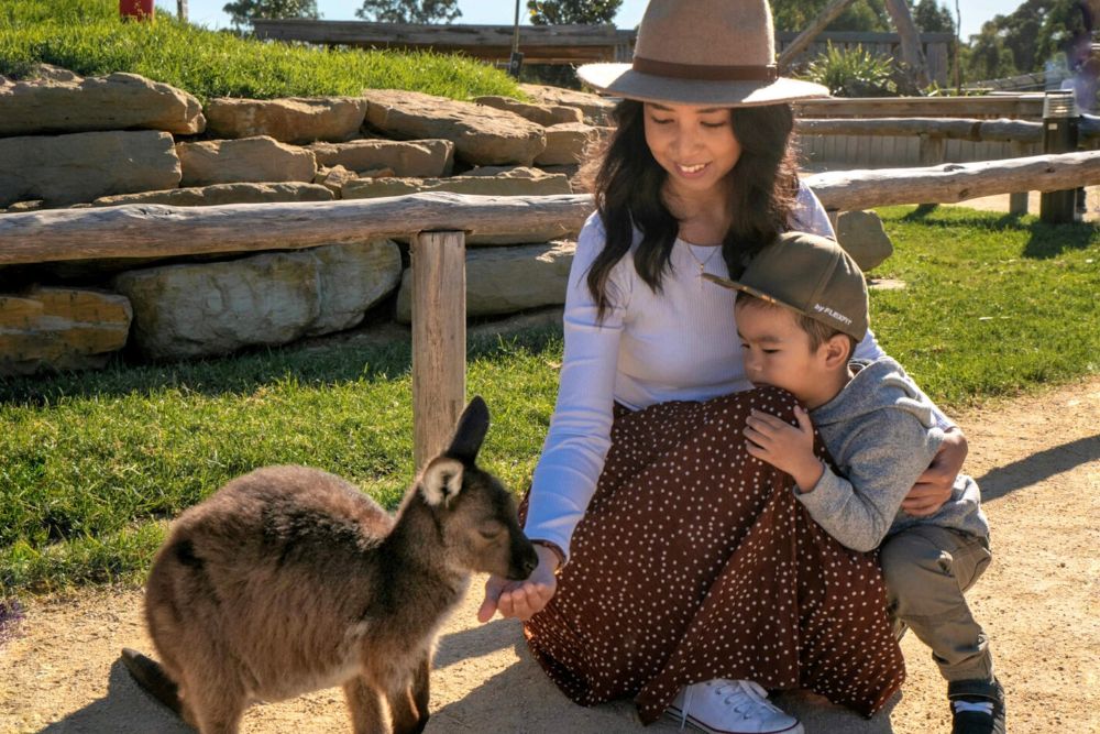 Sydney Zoo - Image 10 of 11