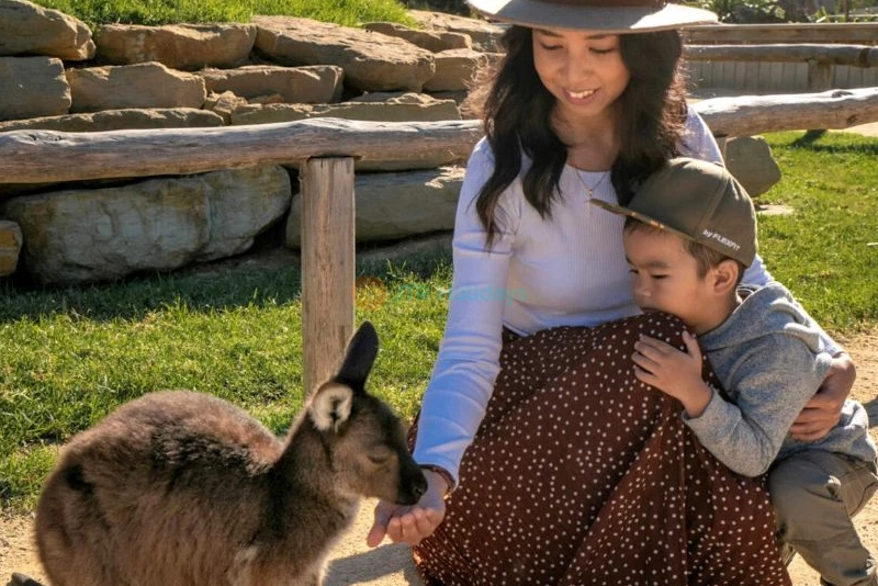 Sydney Zoo Ticket Offer | Family Wildlife Experience in Western Sydney - JTR Holidays - Image 10 of 11