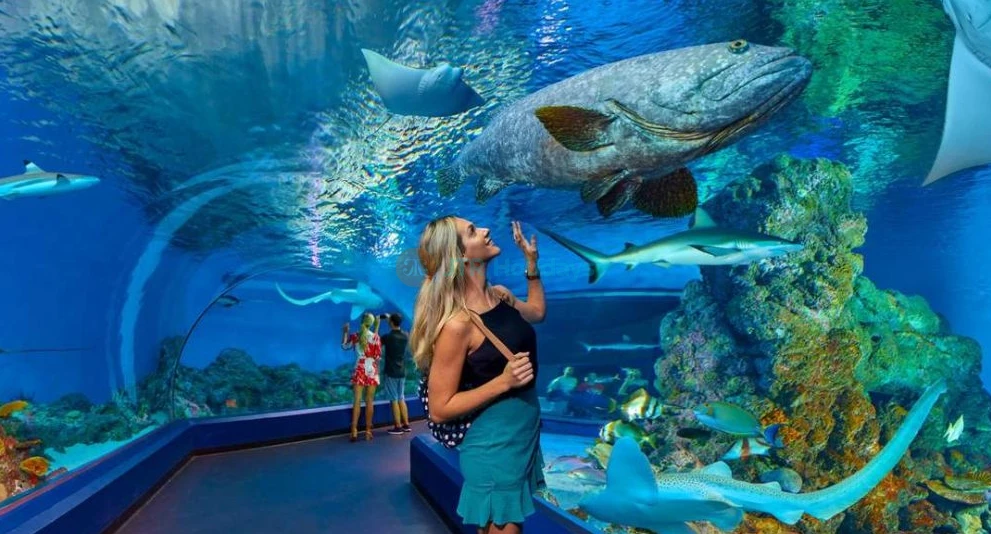 Cairns Aquarium Ticket Offer | Explore Marine Life & Rainforest Wonders - JTR Holidays - Image 1 of 5