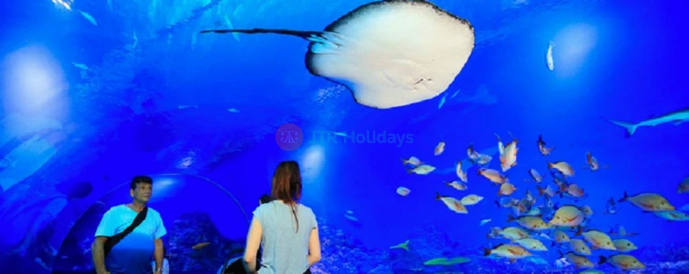Cairns Aquarium Ticket Offer | Explore Marine Life & Rainforest Wonders - JTR Holidays - Image 4 of 5