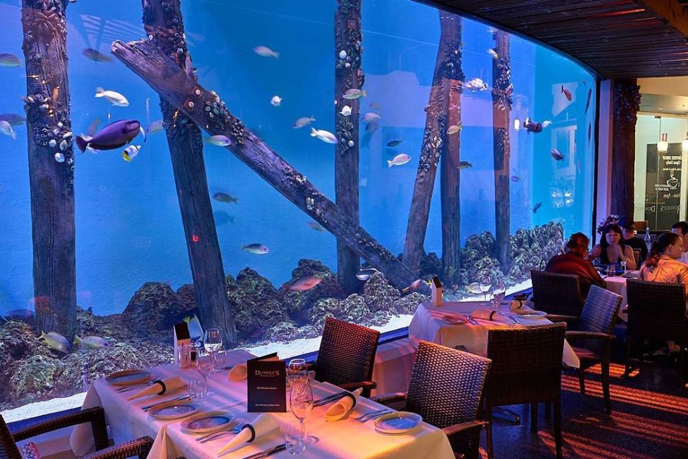 Cairns Aquarium Ticket - Image 5 of 8