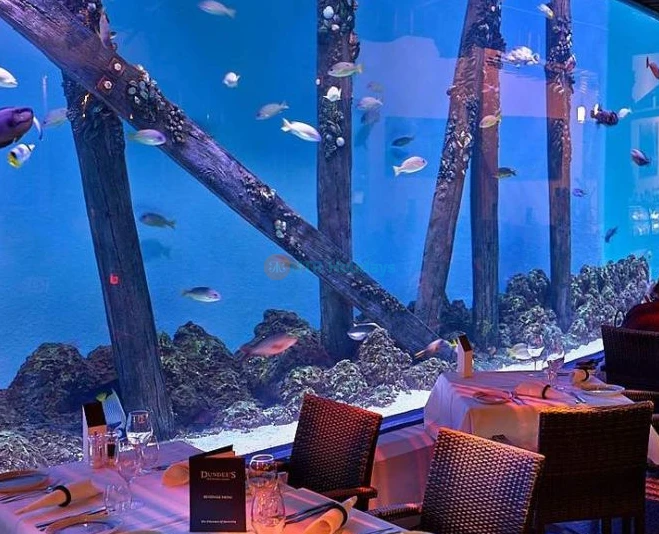 Cairns Aquarium Ticket Offer | Explore Marine Life & Rainforest Wonders - JTR Holidays - Image 5 of 5