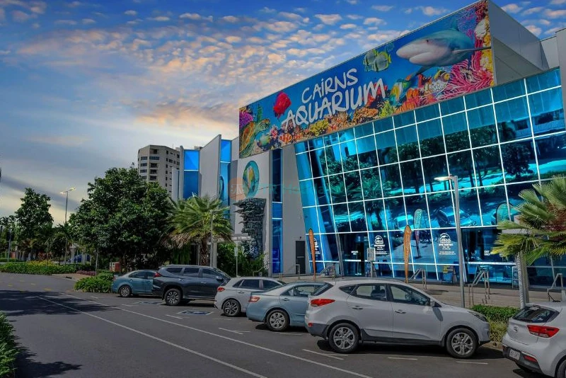 Cairns Aquarium Ticket Offer | Explore Marine Life & Rainforest Wonders - JTR Holidays - Image 6 of 8