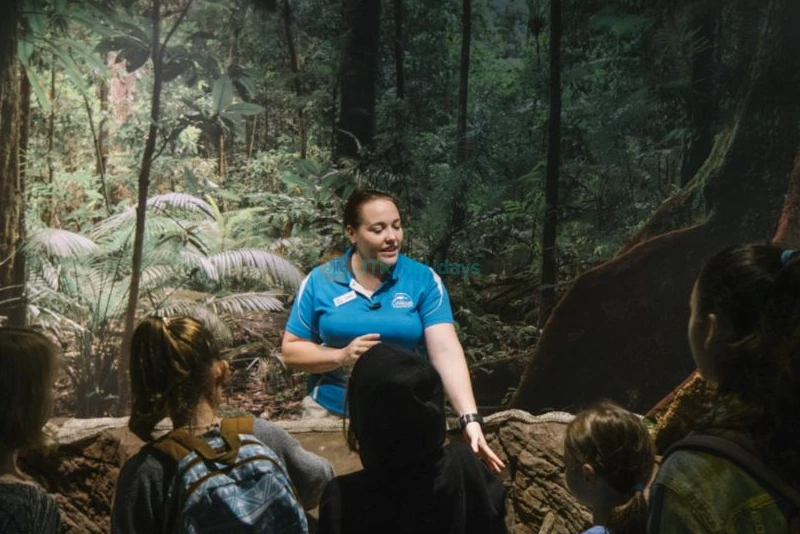 Cairns Aquarium Ticket Offer | Explore Marine Life & Rainforest Wonders - JTR Holidays - Image 7 of 8